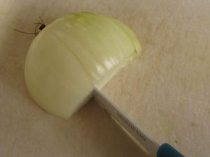 Half onion without skin, root intact, with slices almost to the root.